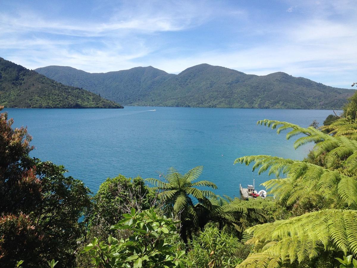 Punga Cove Resort Endeavour Inlet Bagian luar foto