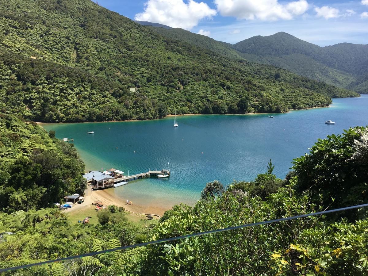 Punga Cove Resort Endeavour Inlet Bagian luar foto