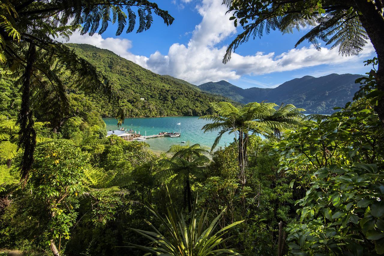 Punga Cove Resort Endeavour Inlet Bagian luar foto